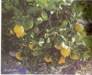 Untitled-Scanned-04.jpg