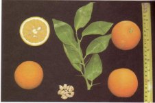 Untitled-Scanned-05.jpg