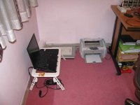 IMG_2956.jpg