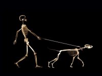 Bon-man-holding-bone-dog.jpg