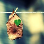 Pixfa.net_Beata%20(40)[1].jpg