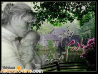maryam127_ashpazonline_weblog_31306064315.jpg