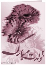 Birthday.Pixfa.net[1].jpg