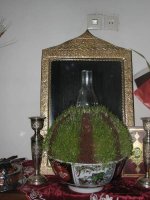 IMG_6334.jpg
