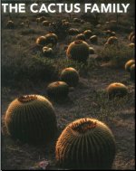 The cactus family 1.JPG