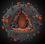 hiv-virus-visual-science-company.jpg