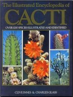 Illustrated_encyclopedia_cacti 1.jpg