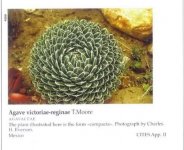Succulents II - The New Illustrated Dictionary (2001) 2.JPG