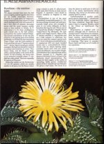 The Illustrated Encyclopedia of Succulents 2.jpg