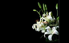 Mini_Easter_Lily_Bouquet.jpg