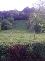 27062010460.jpg