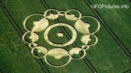 CropCircle-011.jpg