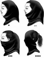 تکامل مقنعه.jpg