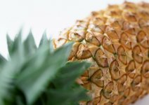 persiangraphic_ananas[1].jpg