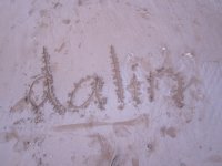 IMG_2968_resize.jpg