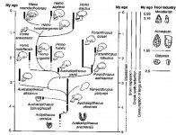 humanevolution.jpg