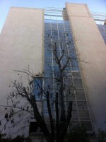 IMG_1460-1.jg.jpg IMG_1460-1.jg.jpg