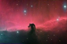 The Horsehead Nebula _fr.jpg