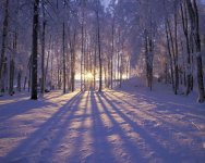 Sunrise-Among-Snow.jpg