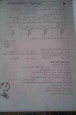 IMAG0172.jpg