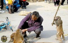 1272303590people_vs_animals_30.jpg