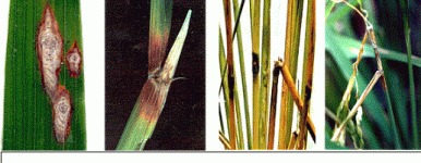 image022.gif