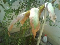 DSC05124.jpg