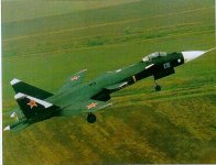 Su37b.jpg