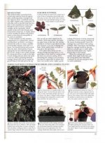 Plant Propagation 2.jpg