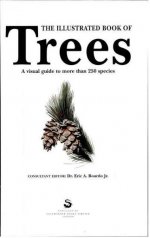 Illustrated_Book_of_Trees_hungraphics 1.jpg