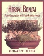 Herbal Bonsai Practicing the Art With Fast-Growing Herbs 1.JPG