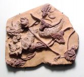 Crinoids_iowa_330m.jpg