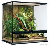 terrarium11.jpg