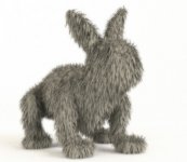 hairy%20one.jpg