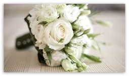 white_roses_bouquet-t2.jpg