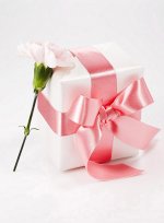 FreeGreatPicture.com-20451-gift-packaging-materials.jpg