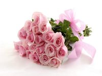 Pink_flowers4.jpg