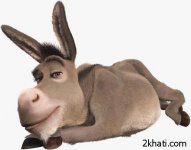 donkey_6.jpg