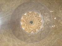 DSC03508.jpg