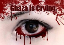 Ghaza_IS_Crying.jpg