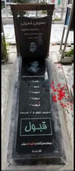 647510_994.jpg