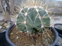 201302222089.jpg