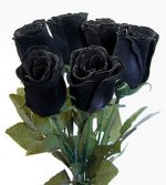 black_rose1[1].jpg