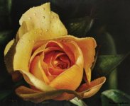 persiangraphic_painting_persiangraphic71[1].jpg