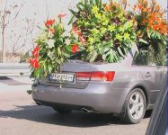Iranian_funny_picture_07.jpg