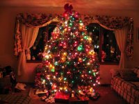 xmastree.jpg