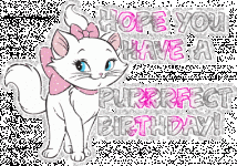 1_cat_birthday.gif