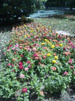 07062011112.jpg