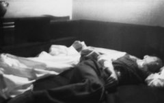 70385_460.jpg