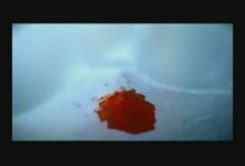 30 seconds To Mars A Beautiful Lie Video-0_6.jpg